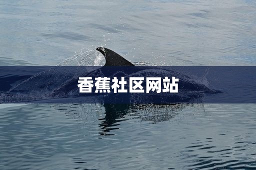 香蕉社区网站