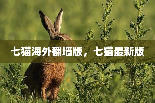 七猫海外翻墙版，七猫最新版
