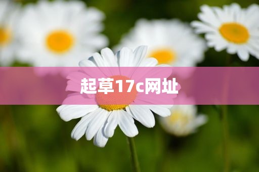 起草17c网址