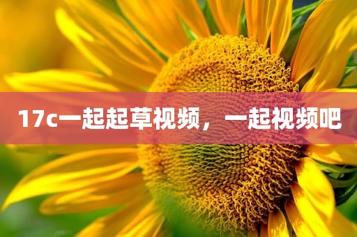 17c一起起草视频，一起视频吧
