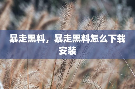 暴走黑料，暴走黑料怎么下载安装