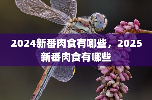 2024新番肉食有哪些，2025新番肉食有哪些