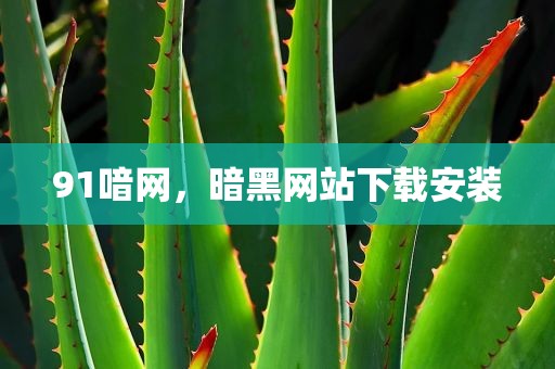 91喑网，暗黑网站下载安装