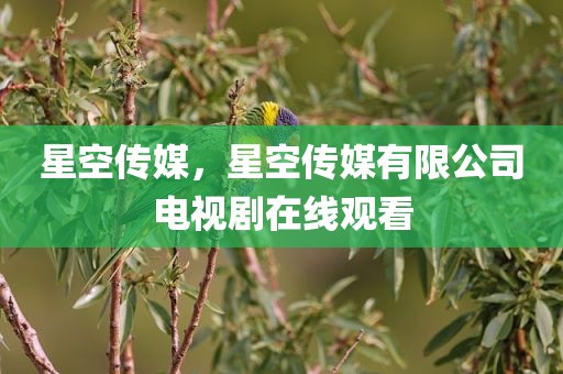 星空传媒，星空传媒有限公司电视剧在线观看
