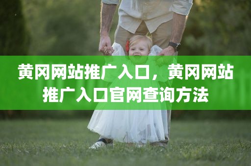 黄冈网站推广入口，黄冈网站推广入口官网查询方法
