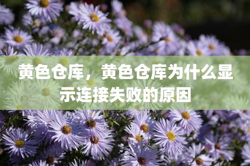 黄色仓库，黄色仓库为什么显示连接失败的原因