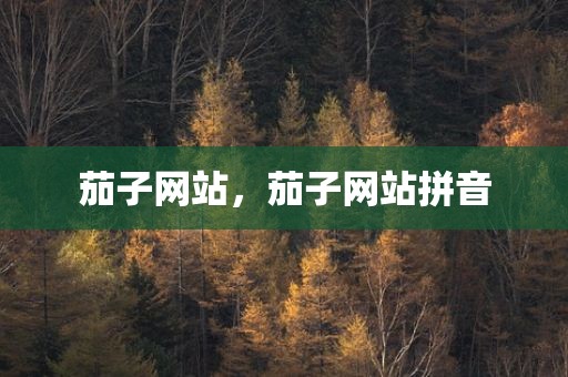 茄子网站，茄子网站拼音