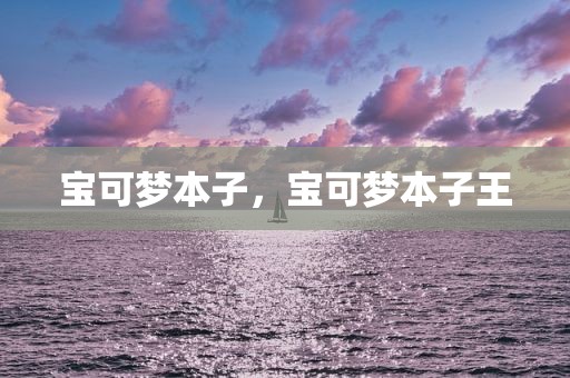 宝可梦本子，宝可梦本子王