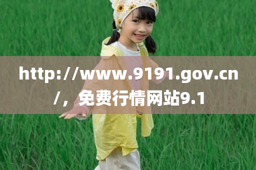 http://www.9191.gov.cn/，免费行情网站9.1