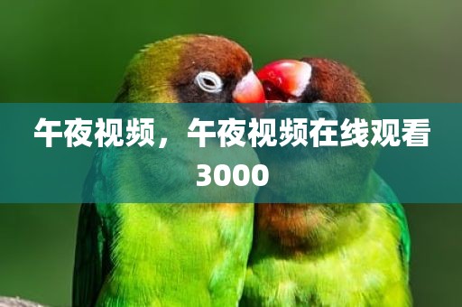 午夜视频，午夜视频在线观看3000