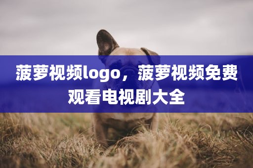 菠萝视频logo，菠萝视频免费观看电视剧大全