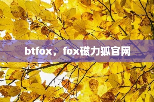 btfox，fox磁力狐官网