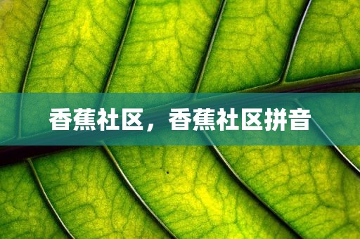 香蕉社区，香蕉社区拼音