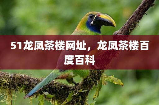 51龙凤茶楼网址，龙凤茶楼百度百科