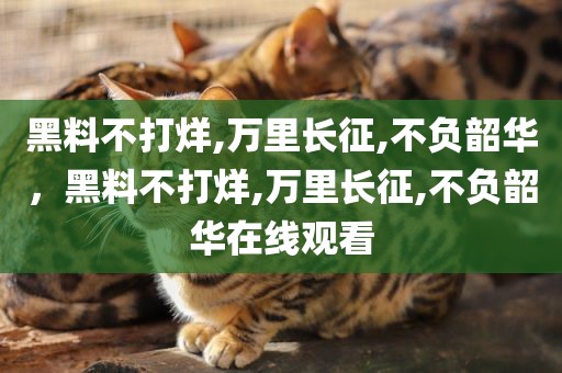 黑料不打烊,万里长征,不负韶华，黑料不打烊,万里长征,不负韶华在线观看