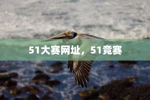 51大赛网址，51竞赛