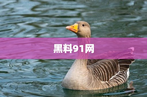 黑料91网