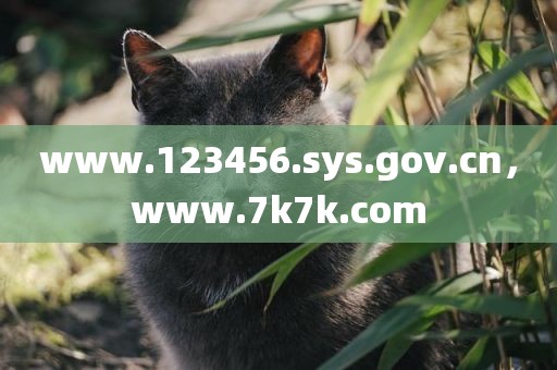 www.123456.sys.gov.cn，www.7k7k.com