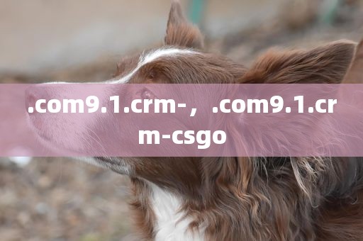 .com9.1.crm-，.com9.1.crm-csgo