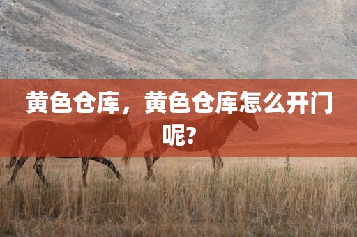 黄色仓库，黄色仓库怎么开门呢?