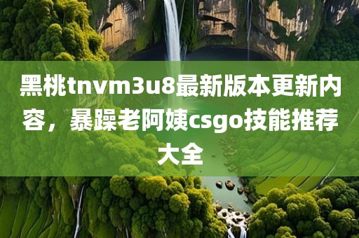 黑桃tnvm3u8最新版本更新内容，暴躁老阿姨csgo技能推荐大全