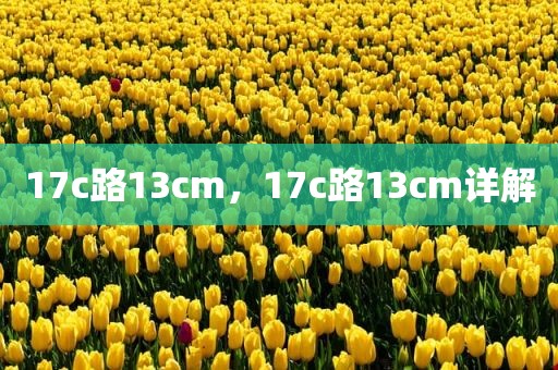 17c路13cm，17c路13cm详解
