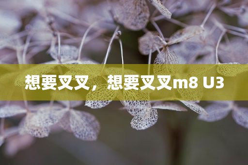 想要叉叉，想要叉叉m8 U3