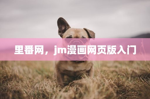 里番网，jm漫画网页版入门