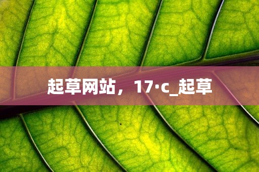 起草网站，17·c_起草