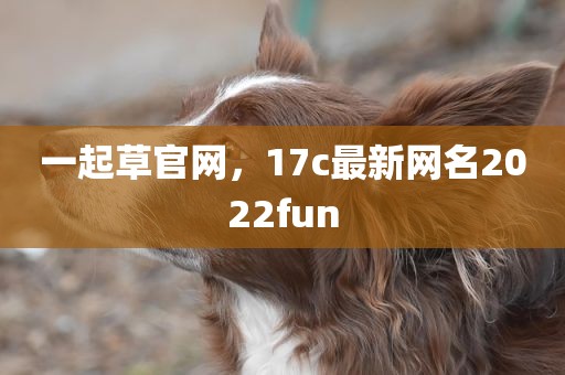 一起草官网，17c最新网名2022fun