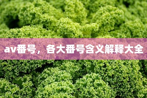 av番号，各大番号含义解释大全