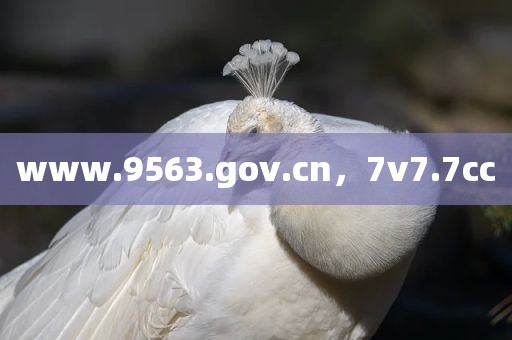 www.9563.gov.cn，7v7.7cc