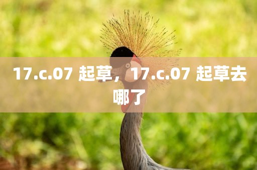 17.c.07 起草，17.c.07 起草去哪了