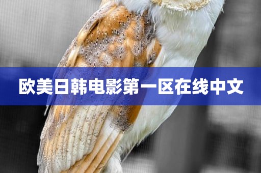 欧美日韩电影第一区在线中文