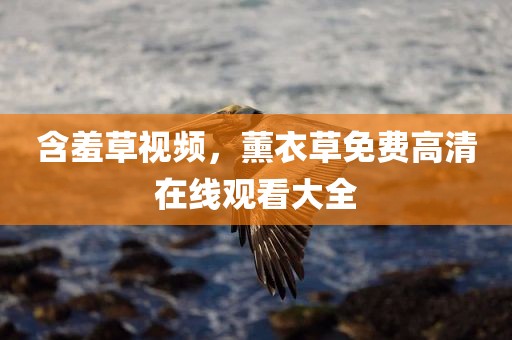含羞草视频，薰衣草免费高清在线观看大全