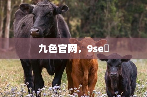 九色官网，9se 