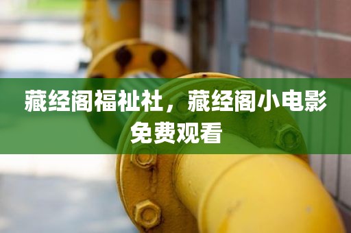 藏经阁福祉社，藏经阁小电影免费观看