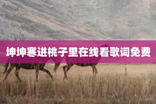 坤坤寒进桃子里在线看歌词免费