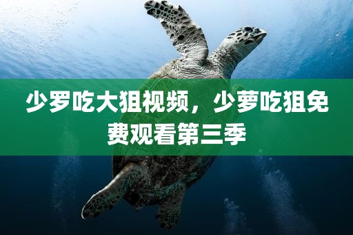 少罗吃大狙视频，少萝吃狙免费观看第三季
