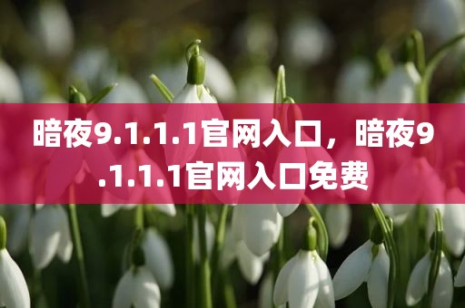 暗夜9.1.1.1官网入口，暗夜9.1.1.1官网入口免费