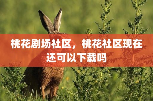 桃花剧场社区，桃花社区现在还可以下载吗