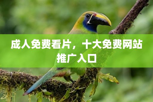 成人免费看片，十大免费网站推广入口