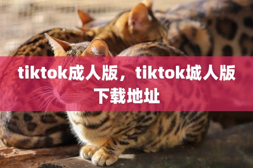 tiktok成人版，tiktok城人版下载地址