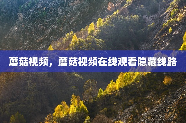 蘑菇视频，蘑菇视频在线观看隐藏线路