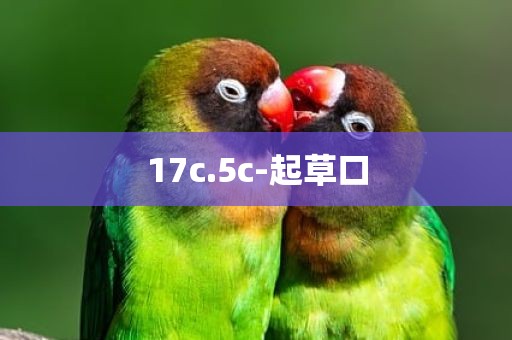 17c.5c-起草口