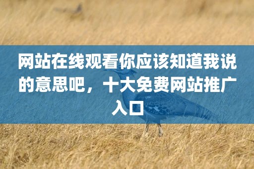 网站在线观看你应该知道我说的意思吧，十大免费网站推广入口