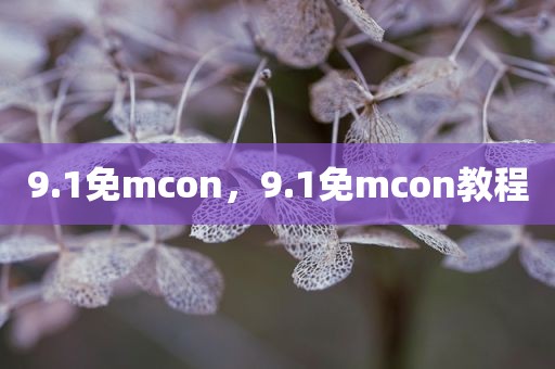 9.1免mcon，9.1免mcon教程