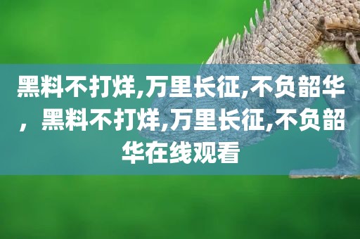 黑料不打烊,万里长征,不负韶华，黑料不打烊,万里长征,不负韶华在线观看