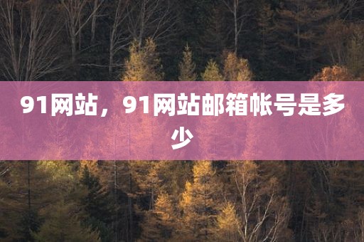 91网站，91网站邮箱帐号是多少