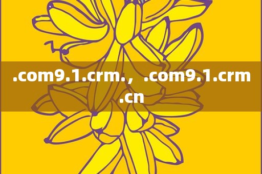 .com9.1.crm.，.com9.1.crm.cn